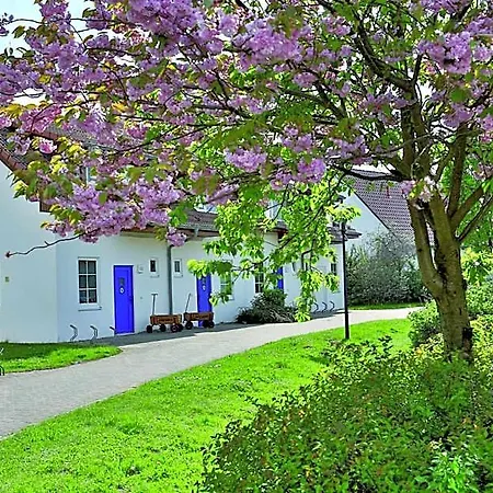 شقة فندقية Feriendorf Rerik 4*