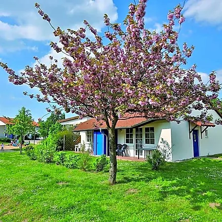 شقة فندقية Feriendorf Rerik 4*