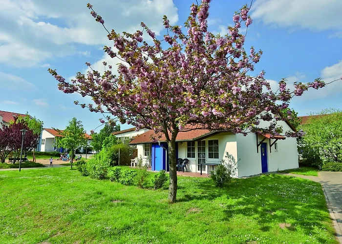 Hotel apartamentowy Feriendorf Rerik 4*